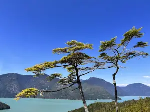 Knight Inlet Grizzly Bear viewing