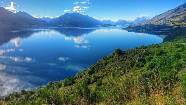 Mrs Woolly's Campground