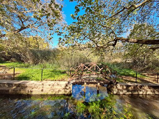 Springs of Agia Eleousa