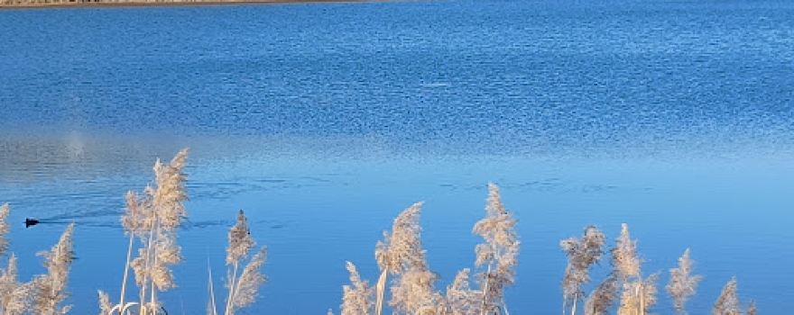 Lac de Mison