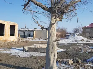Druzhba