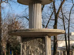 Parcul CUZA-VODĂ