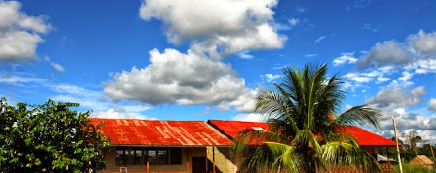 Parque Estadual Chandless