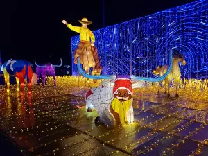 Magical Winter Lights®
