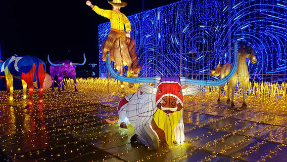 Magical Winter Lights®