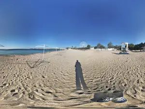 Rotonda