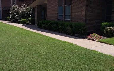 Church of Jesus Christ of LDS