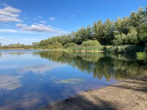 Uge Lystfiskeri og Camping