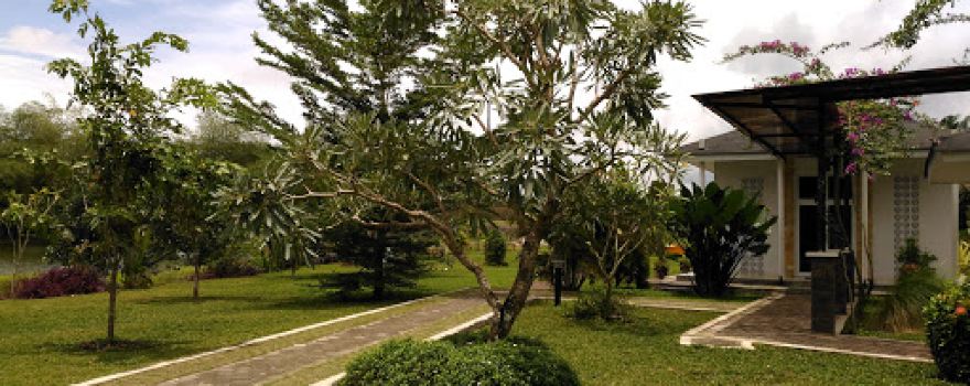 Kelekak Garden