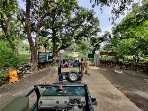 Tala Zone Safari - Entrance (Tala Gate Bandhavgarh)