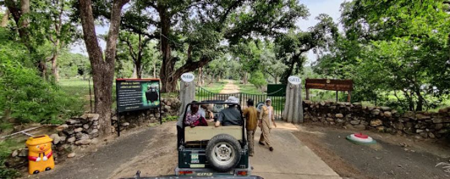 Tala Zone Safari - Entrance (Tala Gate Bandhavgarh)