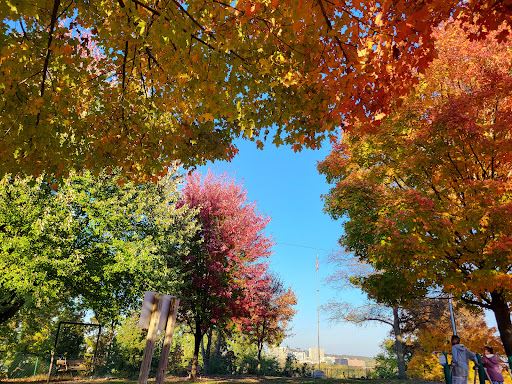 Negley Park