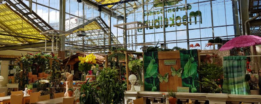 Gartencenter Meckelburg