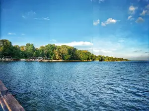 Birtaria Kassi