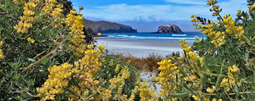 Allan's Beach Access