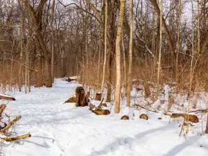Englewood MetroPark