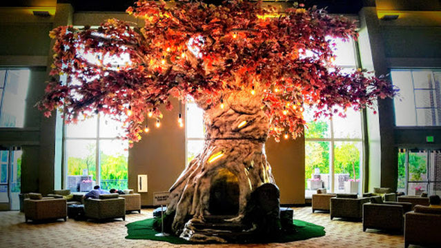 World Outreach Church