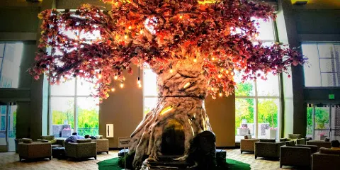 World Outreach Church