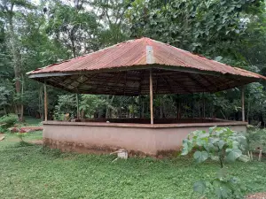 UI Botanical Garden