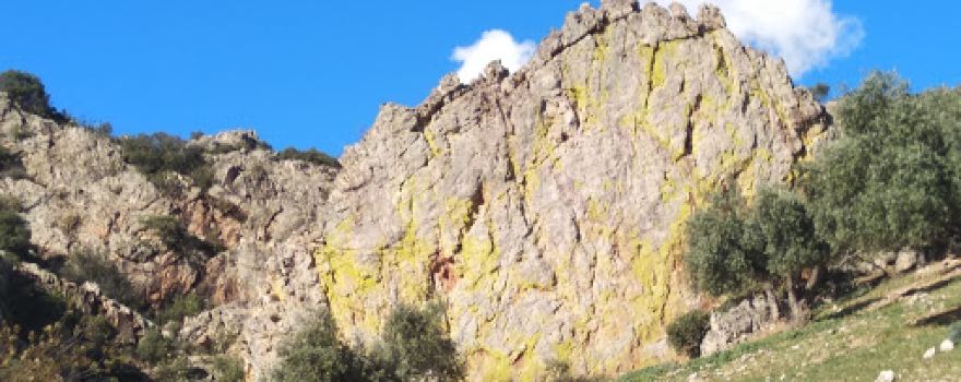 Pinturas rupestres peñón amarillo