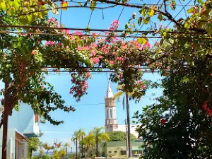 Praça Da Matriz De Campina Das Missoes