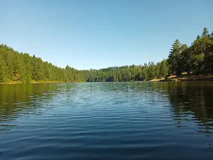 Cooper Creek Reservoir