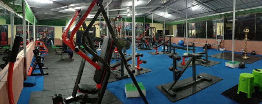 Evo fitness pala