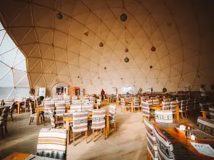 Sun City Camp