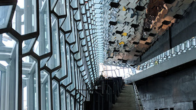 Mink Viking Portrait