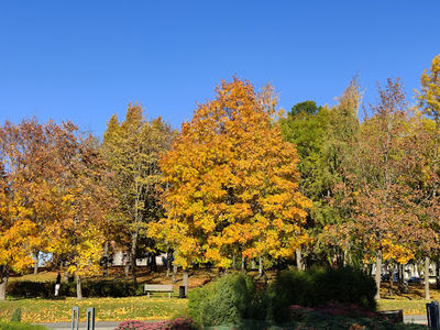 Kalaranta Park