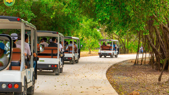 Khu du lịch - đô thị Sơn Tiên