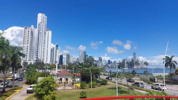 Pacific Lookout