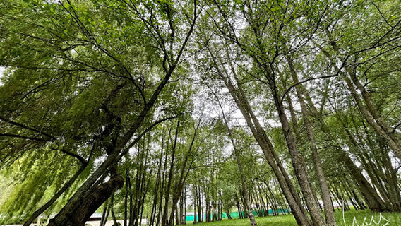 Municipal swimming pool Saldaña