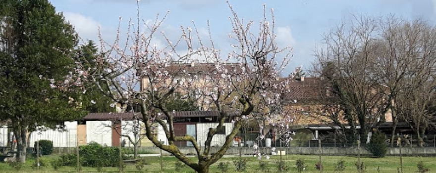 Parco Mulino dei Palma
