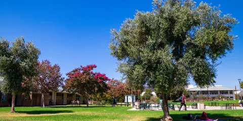 葛羅斯摩特學院