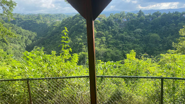 Mada Fed Nature River