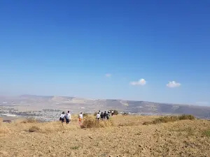 Choma'a ጮምዓ መቐለ