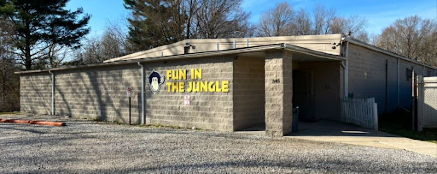 Fun In The Jungle