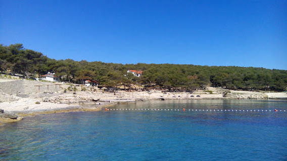 Šibenik