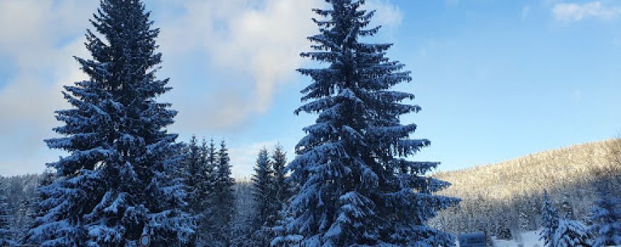 Klettergarten Mehliskopf