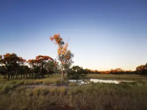 Moorrinya National Park