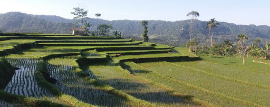 Liunggunung Foundation