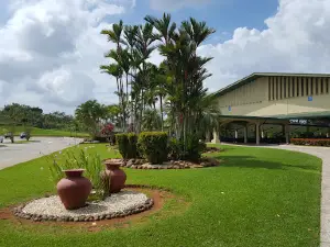 Assembly Hall of Jehovah’s Witnesses
