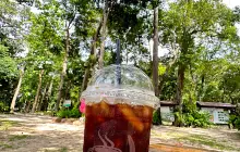 สวนรุกขชาติอุบลวนารมย์