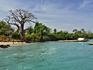 Ilha de Pecixe