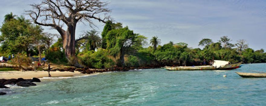 Ilha de Pecixe
