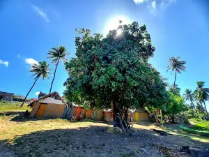 Potengi