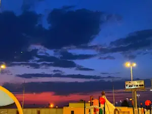 حديقة الفويلق2