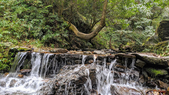 Jibhi Waterfall