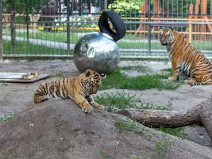 Barnaul'skiy Zoopark